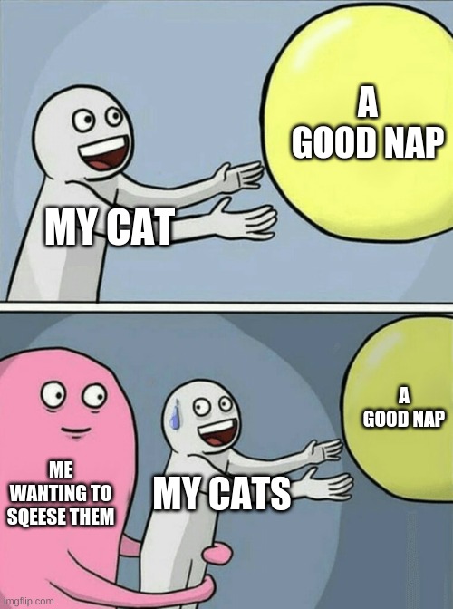 hello | A GOOD NAP; MY CAT; A GOOD NAP; ME WANTING TO SQEESE THEM; MY CATS | image tagged in memes,running away balloon | made w/ Imgflip meme maker