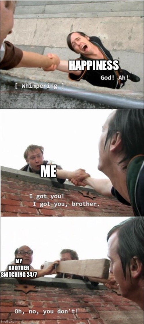 It's Always Sunny In Philadelphia Roof Meme | HAPPINESS; ME; MY BROTHER SNITCHING 24/7 | image tagged in it's always sunny in philadelphia roof meme | made w/ Imgflip meme maker