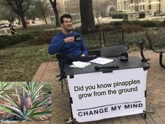 Change My Mind Meme | Did you know pinapples grow from the ground | image tagged in memes,change my mind | made w/ Imgflip meme maker