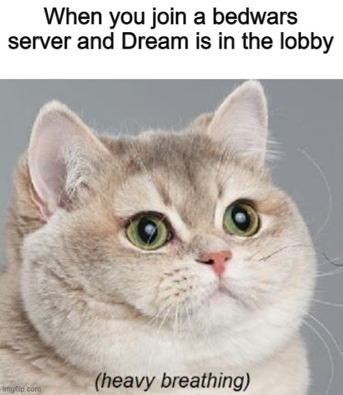People playing with Dream be like | When you join a bedwars server and Dream is in the lobby | image tagged in memes,heavy breathing cat,dream | made w/ Imgflip meme maker