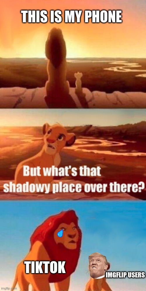 Simba Shadowy Place Meme | THIS IS MY PHONE; TIKTOK; IMGFLIP USERS | image tagged in memes,simba shadowy place | made w/ Imgflip meme maker