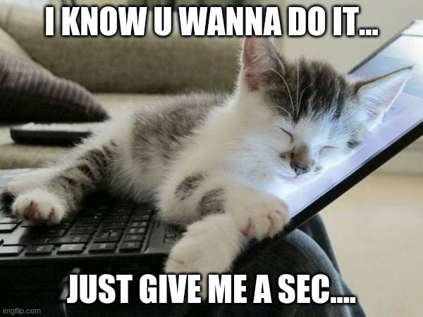 I know. | I KNOW U WANNA DO IT... JUST GIVE ME A SEC.... | image tagged in cat sleep computer,give me a sec | made w/ Imgflip meme maker
