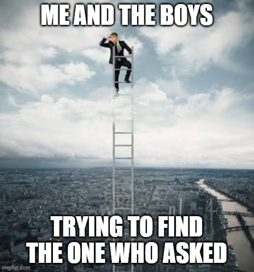 Searching for | ME AND THE BOYS TRYING TO FIND THE ONE WHO ASKED | image tagged in searching for | made w/ Imgflip meme maker