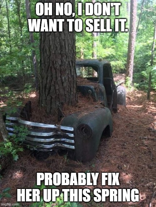 Not for Sale | OH NO, I DON'T WANT TO SELL IT. PROBABLY FIX HER UP THIS SPRING | image tagged in cars | made w/ Imgflip meme maker