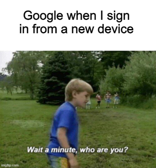 Wait a minute, who are you? | Google when I sign in from a new device | image tagged in wait a minute who are you | made w/ Imgflip meme maker