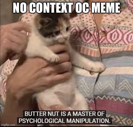 butternut is a master of psychological manipulation | NO CONTEXT OC MEME | image tagged in kill me | made w/ Imgflip meme maker