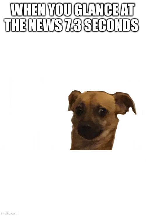 Concerned doggo | WHEN YOU GLANCE AT THE NEWS 7.3 SECONDS | image tagged in concerned doggo | made w/ Imgflip meme maker