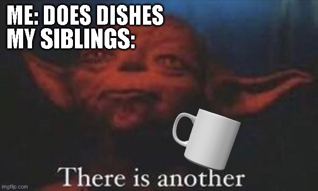 funny | MY SIBLINGS:; ME: DOES DISHES | image tagged in yoda there is another | made w/ Imgflip meme maker