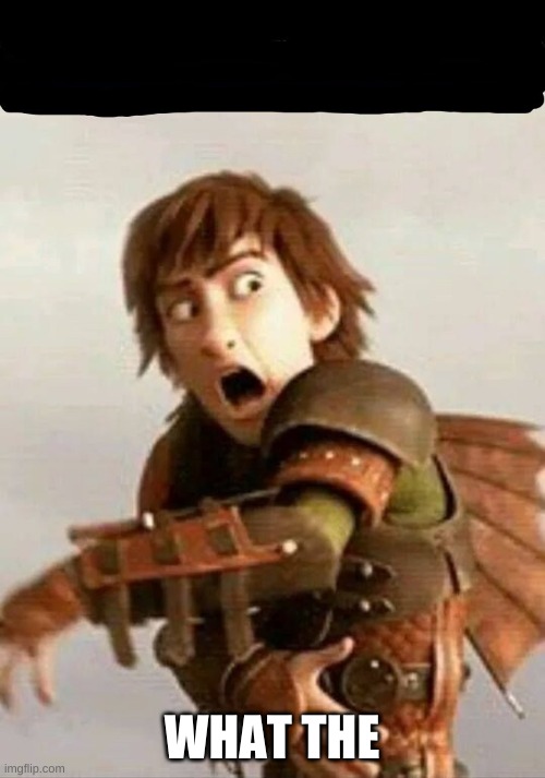 Httyd | WHAT THE | image tagged in httyd | made w/ Imgflip meme maker