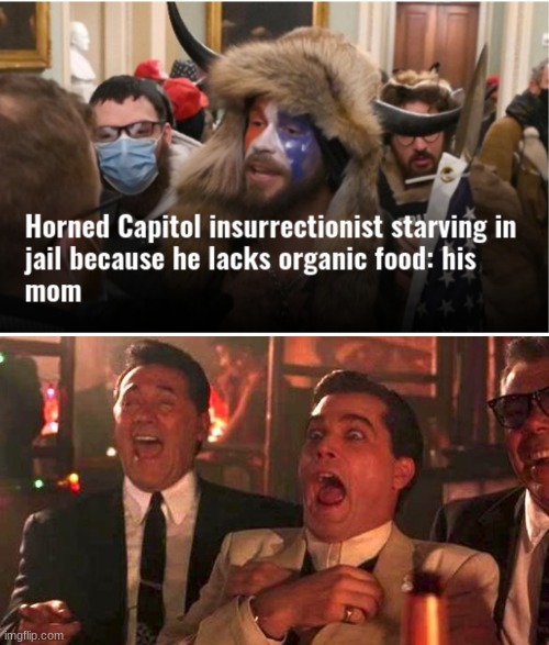 Untitled | image tagged in goodfellas laughing scene henry hill,capitol hill insurrection,trump treason | made w/ Imgflip meme maker