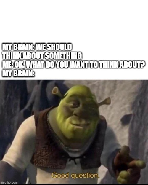 Brains Be Like | MY BRAIN: WE SHOULD THINK ABOUT SOMETHING
ME: OK, WHAT DO YOU WANT TO THINK ABOUT?
MY BRAIN: | image tagged in shrek | made w/ Imgflip meme maker