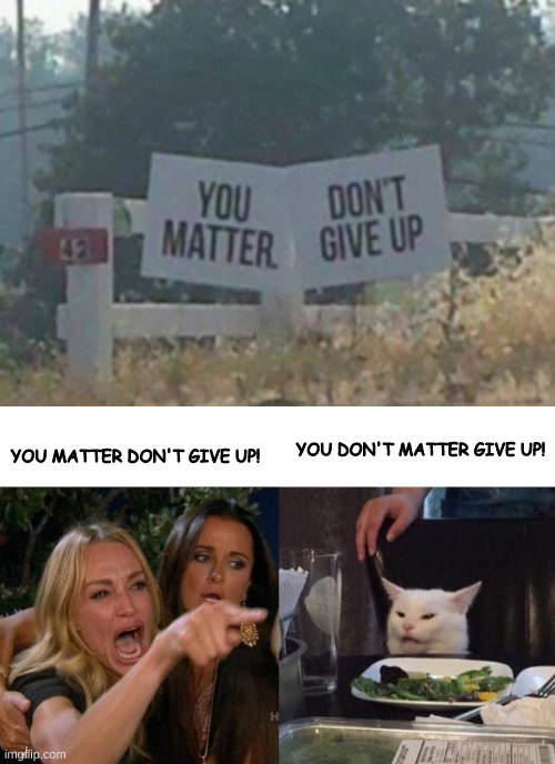 YOU DON'T MATTER, GIVE UP! | YOU MATTER DON'T GIVE UP! YOU DON'T MATTER GIVE UP! | image tagged in memes,woman yelling at cat,you don't matter,funny,inspirational,cats | made w/ Imgflip meme maker