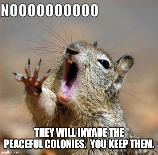 noooooooooooooooooooooooo | THEY WILL INVADE THE PEACEFUL COLONIES.  YOU KEEP THEM. | image tagged in noooooooooooooooooooooooo | made w/ Imgflip meme maker