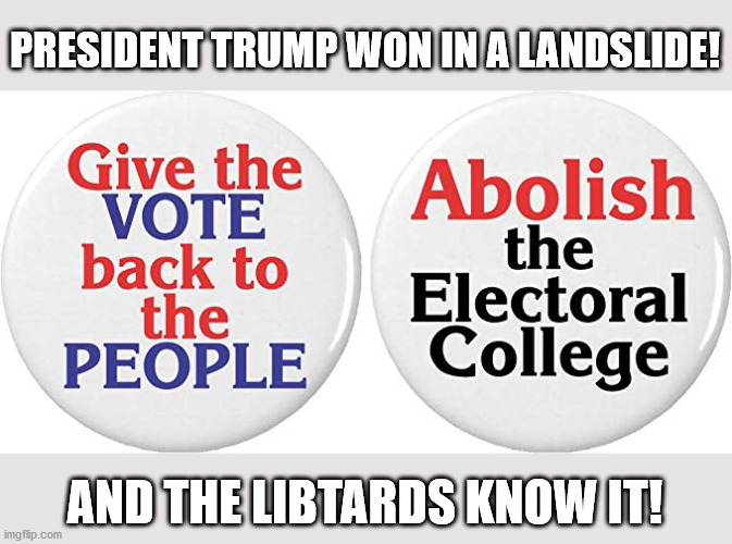 Abolish the Electoral College | PRESIDENT TRUMP WON IN A LANDSLIDE! AND THE LIBTARDS KNOW IT! | image tagged in electoral college,election 2020,president trump,stop the steal,creepy joe biden,make america great again | made w/ Imgflip meme maker