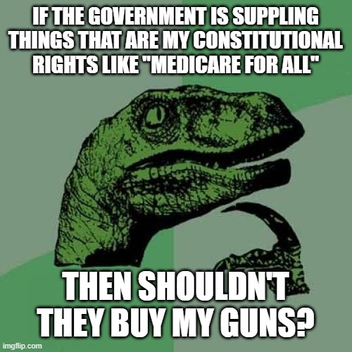 Philosoraptor Meme | IF THE GOVERNMENT IS SUPPLING THINGS THAT ARE MY CONSTITUTIONAL RIGHTS LIKE "MEDICARE FOR ALL"; THEN SHOULDN'T THEY BUY MY GUNS? | image tagged in memes,philosoraptor | made w/ Imgflip meme maker