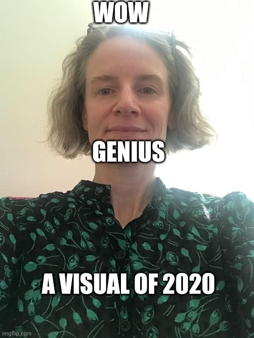 Karen 2.0 | WOW A VISUAL OF 2020 GENIUS | image tagged in karen 2 0 | made w/ Imgflip meme maker