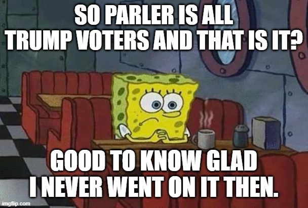 Spongebob Coffee | SO PARLER IS ALL TRUMP VOTERS AND THAT IS IT? GOOD TO KNOW GLAD I NEVER WENT ON IT THEN. | image tagged in spongebob coffee | made w/ Imgflip meme maker