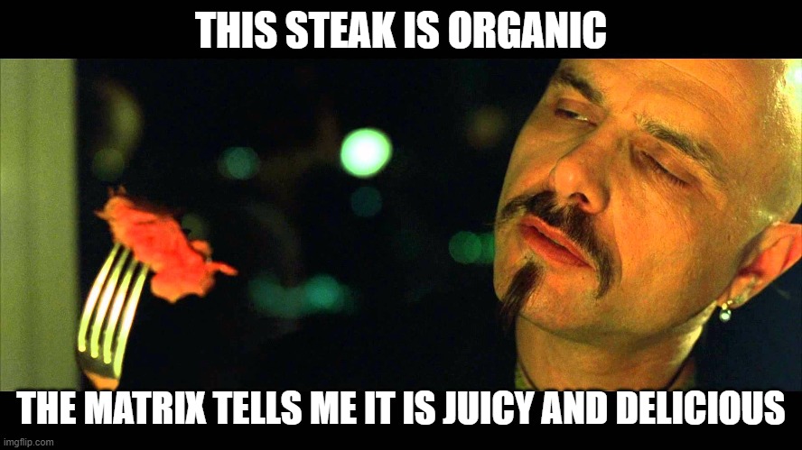 Cypher Steak | THIS STEAK IS ORGANIC THE MATRIX TELLS ME IT IS JUICY AND DELICIOUS | image tagged in cypher steak | made w/ Imgflip meme maker