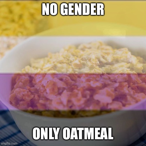 NO GENDER; ONLY OATMEAL | image tagged in non binary | made w/ Imgflip meme maker
