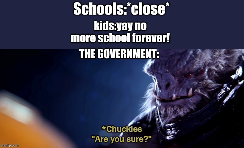 Are you sure | Schools:*close*; kids:yay no more school forever! THE GOVERNMENT: | image tagged in are you sure | made w/ Imgflip meme maker
