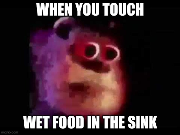 mmm | WHEN YOU TOUCH; WET FOOD IN THE SINK | image tagged in sully mmmmmmmm | made w/ Imgflip meme maker