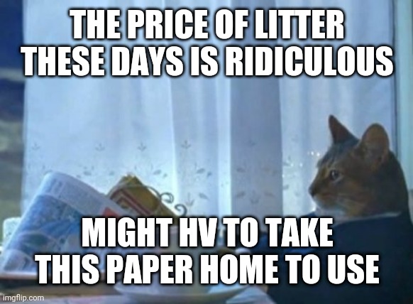 I Should Buy A Boat Cat | THE PRICE OF LITTER THESE DAYS IS RIDICULOUS; MIGHT HV TO TAKE THIS PAPER HOME TO USE | image tagged in memes,i should buy a boat cat | made w/ Imgflip meme maker
