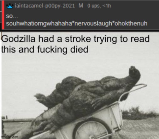 lmao | image tagged in godzilla | made w/ Imgflip meme maker