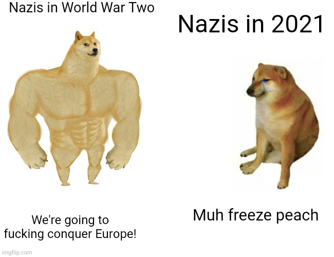 Buff Doge vs. Cheems Meme | Nazis in World War Two; Nazis in 2021; Muh freeze peach; We're going to fucking conquer Europe! | image tagged in memes,buff doge vs cheems | made w/ Imgflip meme maker