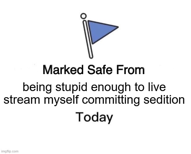 Marked Safe From | being stupid enough to live stream myself committing sedition | image tagged in memes,marked safe from | made w/ Imgflip meme maker