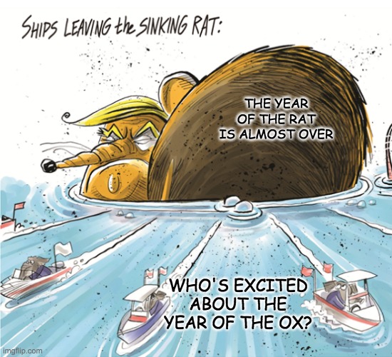 Once more with the rats and ships theme, this time by Dave Whamond | THE YEAR OF THE RAT IS ALMOST OVER; WHO'S EXCITED ABOUT THE YEAR OF THE OX? | image tagged in donald trump,rats,ship,2021,politics | made w/ Imgflip meme maker