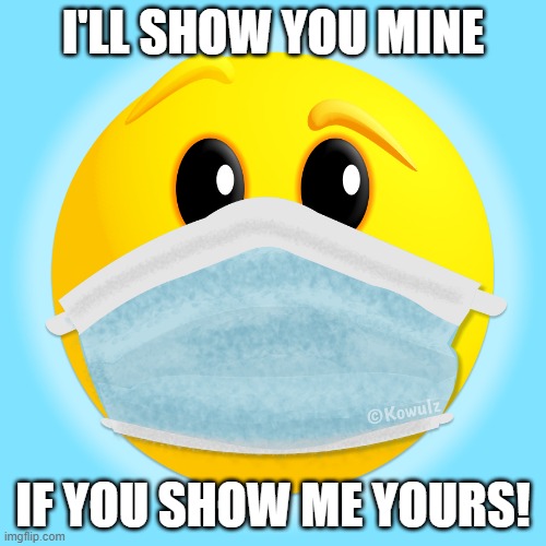 Show Me | I'LL SHOW YOU MINE; IF YOU SHOW ME YOURS! | image tagged in masked emoticon | made w/ Imgflip meme maker