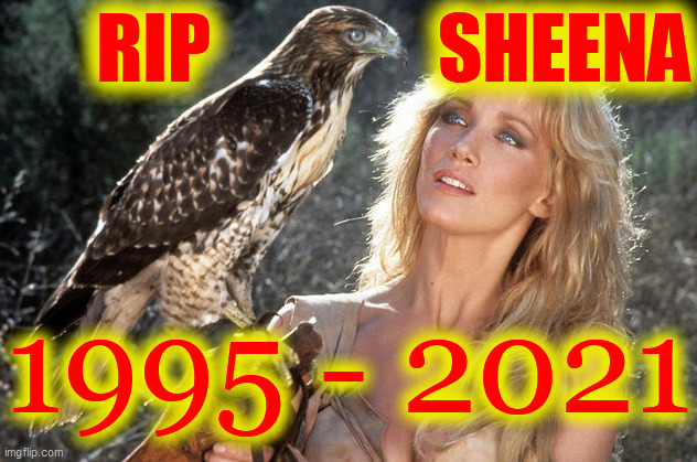 Sheena. IS. | RIP               SHEENA; 1995 - 2021 | image tagged in sheena,tanya roberts,punk rocker,ramones,rock and roll,falcon and the beauty | made w/ Imgflip meme maker