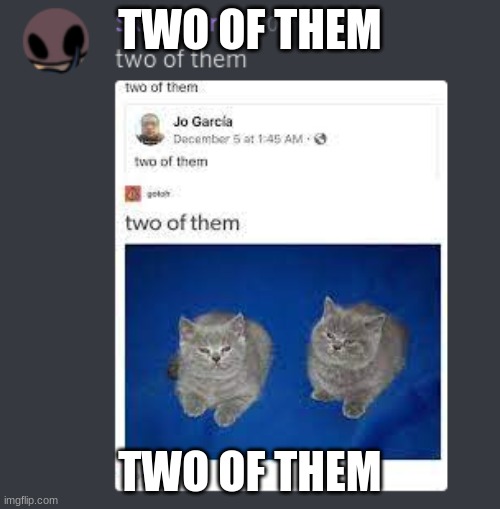two of them | TWO OF THEM; TWO OF THEM | image tagged in cats,memes | made w/ Imgflip meme maker