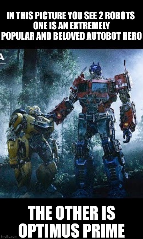 Transformers Optimus and Bumblebee | IN THIS PICTURE YOU SEE 2 ROBOTS 
ONE IS AN EXTREMELY POPULAR AND BELOVED AUTOBOT HERO; THE OTHER IS OPTIMUS PRIME | image tagged in transformers,optimus prime,bumblebee,bumblebee movie | made w/ Imgflip meme maker