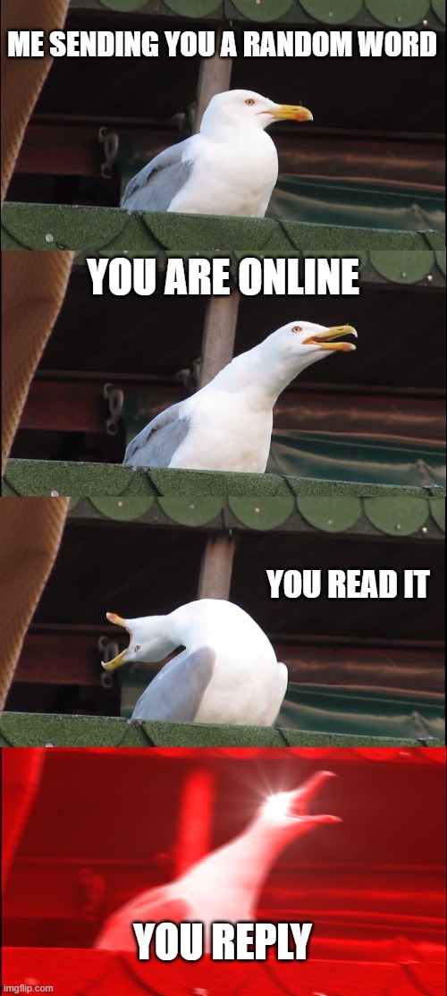 ooo | ME SENDING YOU A RANDOM WORD; YOU ARE ONLINE; YOU READ IT; YOU REPLY | image tagged in memes,inhaling seagull,discord | made w/ Imgflip meme maker