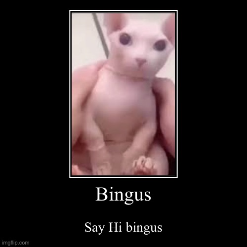 Aaaaaaah hi bingus | image tagged in funny,demotivationals | made w/ Imgflip demotivational maker