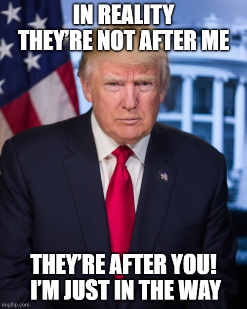 Trump | IN REALITY THEY’RE NOT AFTER ME; THEY’RE AFTER YOU!  I’M JUST IN THE WAY | image tagged in patriot | made w/ Imgflip meme maker