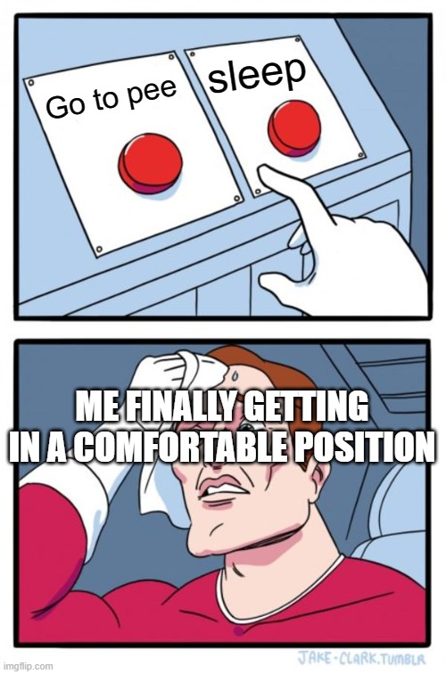 Two Buttons Meme | sleep; Go to pee; ME FINALLY GETTING IN A COMFORTABLE POSITION | image tagged in memes,two buttons | made w/ Imgflip meme maker