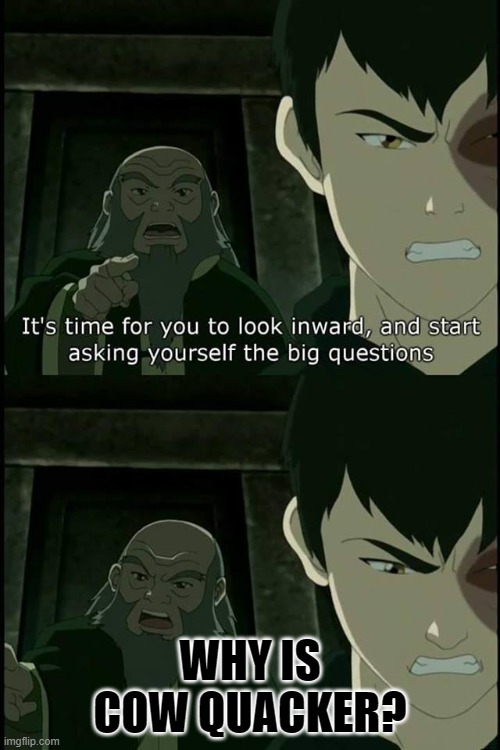 idk | WHY IS COW QUACKER? | image tagged in iroh asks the real questions | made w/ Imgflip meme maker