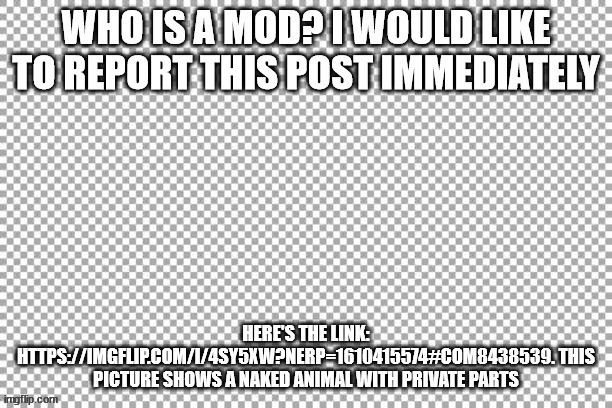 delete that post now! normal users, repost this | made w/ Imgflip meme maker