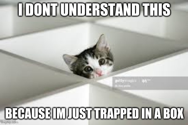 marble boxes | I DONT UNDERSTAND THIS BECAUSE IM JUST TRAPPED IN A BOX | image tagged in marble boxes | made w/ Imgflip meme maker