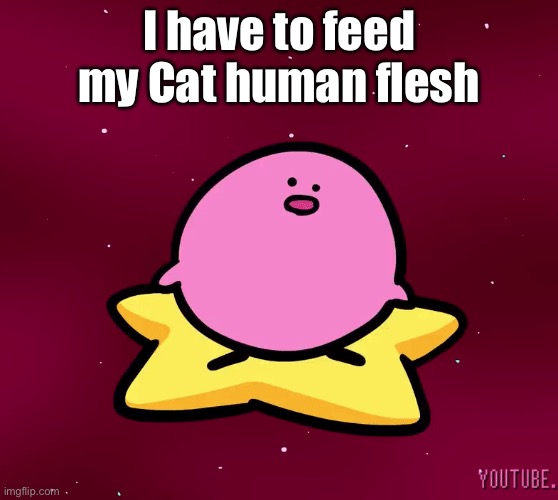 I have to feed my Cat human flesh | made w/ Imgflip meme maker