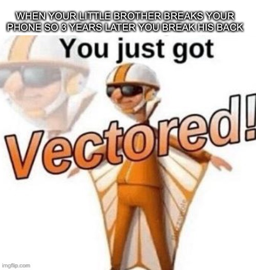 Vectored | WHEN YOUR LITTLE BROTHER BREAKS YOUR PHONE SO 3 YEARS LATER YOU BREAK HIS BACK | image tagged in you just got vectored | made w/ Imgflip meme maker