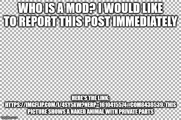 Repost this guys | image tagged in nsfw,repost | made w/ Imgflip meme maker