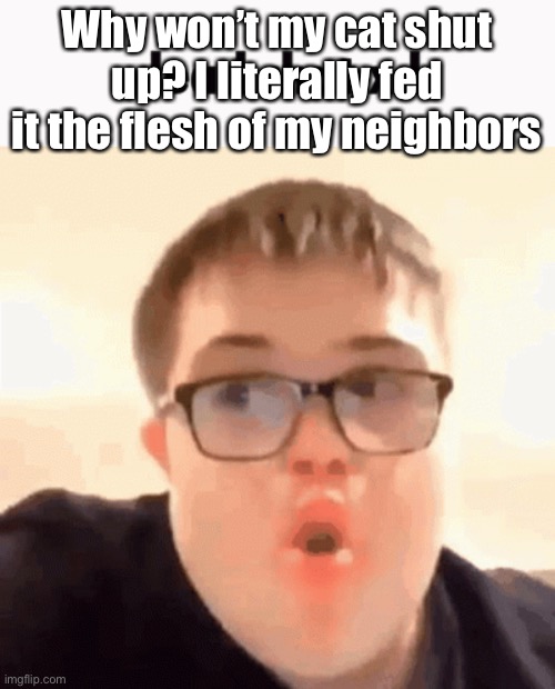 Why won’t my cat shut up? I literally fed it the flesh of my neighbors | made w/ Imgflip meme maker