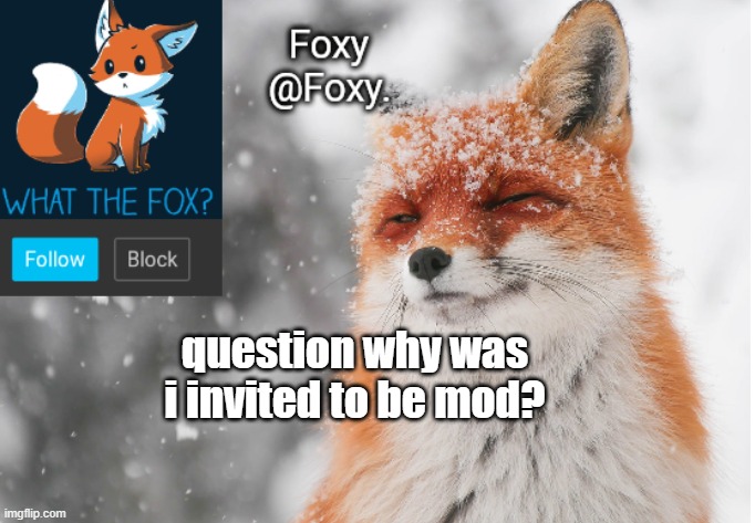 Foxy's announcement template |  question why was i invited to be mod? | image tagged in foxy's announcement template | made w/ Imgflip meme maker