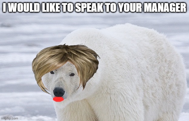 Karen bear | I WOULD LIKE TO SPEAK TO YOUR MANAGER | image tagged in karen,bear | made w/ Imgflip meme maker