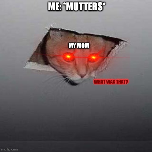 *Instant fear* | ME: *MUTTERS*; MY MOM; WHAT WAS THAT? | image tagged in memes,ceiling cat,that moment when,mom | made w/ Imgflip meme maker