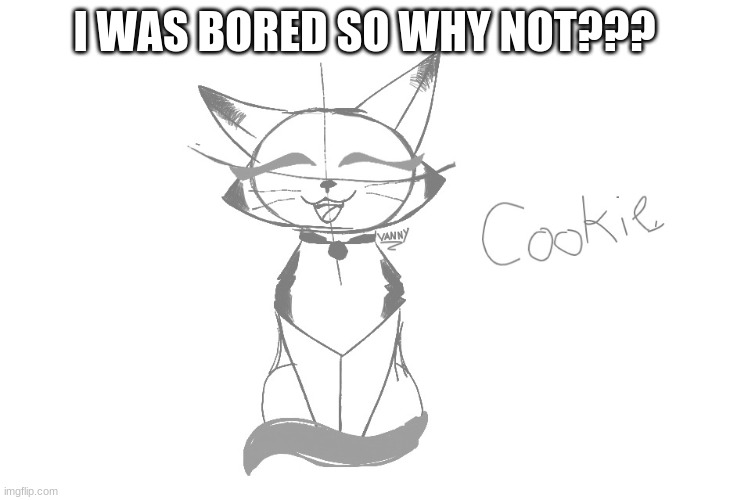 cookie | I WAS BORED SO WHY NOT??? | image tagged in drawing | made w/ Imgflip meme maker