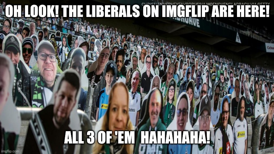 Seeing as it's been proven that 8 of the most common liberal commenter/uploaders on here are actually only 2 people.. | OH LOOK! THE LIBERALS ON IMGFLIP ARE HERE! ALL 3 OF 'EM  HAHAHAHA! | image tagged in liberals | made w/ Imgflip meme maker